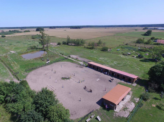 wynajmę boksy, pensjonat dla koni
