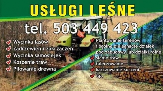 Usługi leśne Wycinka odkrzaczanie koszenie traw niwelacja pilarz
